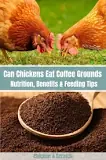 will-coffee-grounds-keep-chickens-away
