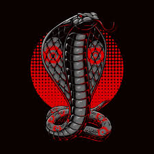 vector ilration colorful cobra