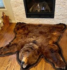 vine bear skin rug with head and