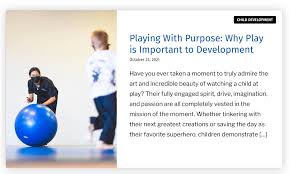 playing with purpose why play is