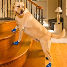 power paws protective dog socks