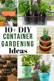 Container Vegetable Gardening Ideas