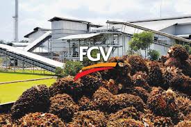 Fgv Re Organizes Group Structure The Edge Markets