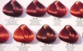 Home Beauty Tips Decide Your Red Sahde Hair Shade Chart
