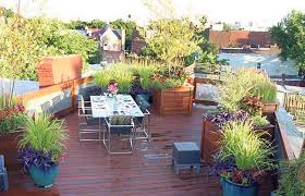 My City Rooftop Gardening Tips And Tricks