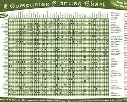 Companion Planting Guide Geofflawton Online
