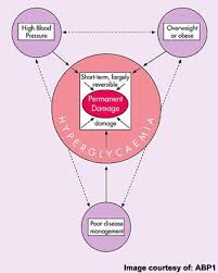 next generation antidiabetic cation