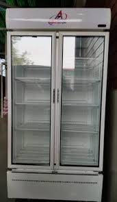 Double Door Display Freezer Capacity