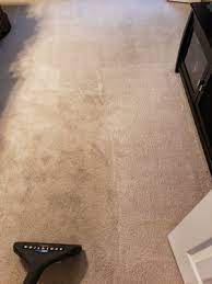 carpet specialist restoration