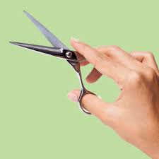grooming scissor at best