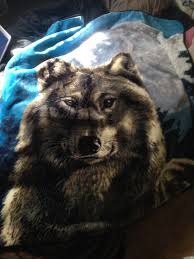 It takes about 30 minutes to kick in. Wolf Blanket Sit Kitty Sit