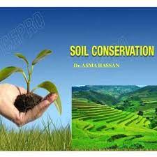 free soil conservation essay exles