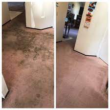 fresh step carpet cleaning 212