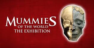 Check spelling or type a new query. Mummies Of The World The Exhibition Saint Louis Science Center