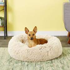 12 Best Dog Beds Of 2023 Top