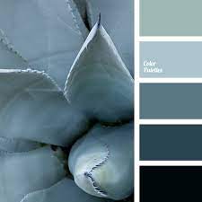 Silver Blue Color Palette Ideas
