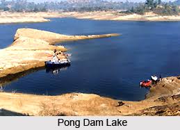 Image result for Pong Dam Lake