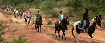 Horse ride pushkar,Horse Safari Pushkar,Horse Trekking pushkar