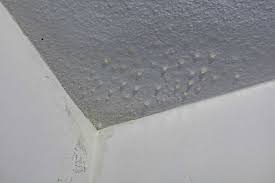 moisture condensation stains on ceiling