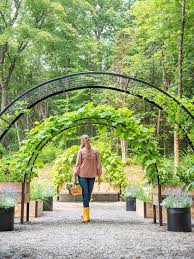 Arch Trellis For 2 X 8 Elevated