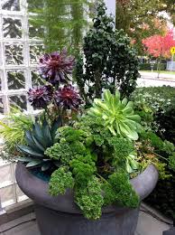 Herb Garden Essentials Grow Your Own