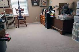 professional carpet cleaning in