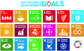 sustainable development goals sdgs