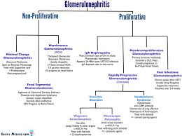 Image Result For Pathophysiology Of Glomerulonephritis In
