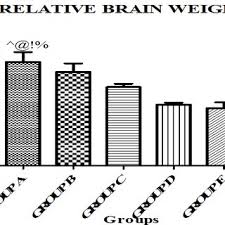 A Bar Chart Showing The Relative Brain Weight R B W Of