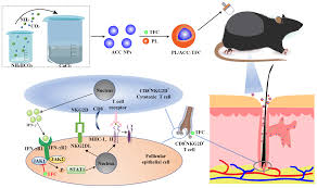 chemotherapy induced alopecia areata