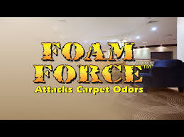 no vacuum foaming carpet deodorizer