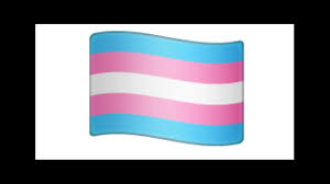 The flag for england, a country in the united kingdom. Transgender Flag And Women In Tuxedos Among New Emojis Bbc News