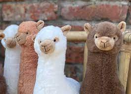 the cutest alpaca plush toy abolengo