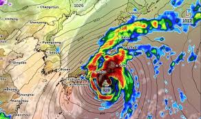 Super Typhoon Hagibis Shock Graph Shows Japan Ravaged In