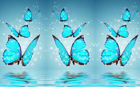 Blue Butterfly Desktop Backgrounds HD ...