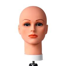 celebrity cosmetology mannequin head