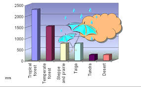 Taiga Annual Rainfall Related Keywords Suggestions Taiga