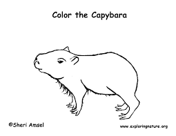 100+ vectors, stock photos & psd files. Capybara Coloring Page