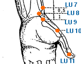 Luo Connecting Acupuncture Points Yuan Luo Tcm Theory
