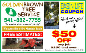 Goldanbrown Tree Service The One To Call