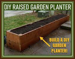 raised garden planter bed gardening