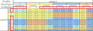 Possible Genotypes For Blood Types Biology Stack Exchange