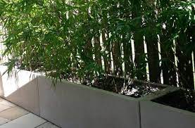 My Bamboo Planters Quatro Design