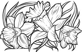 Check spelling or type a new query. 11 Easy Coloring Pages For Seniors In 2021 Happier Human