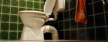 all toilets in your house clogged here