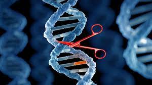 crispr gene editing explained what is