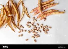 bainas vegetables and bean seeds on white background Stock Photo - Alamy