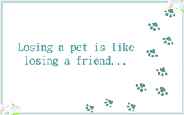 Free Printable Sympathy Card For Loss Of Pet