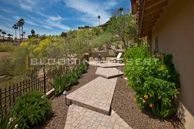 Eco Focused Home Landscaping Trend