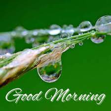 good morning with rain sharechat